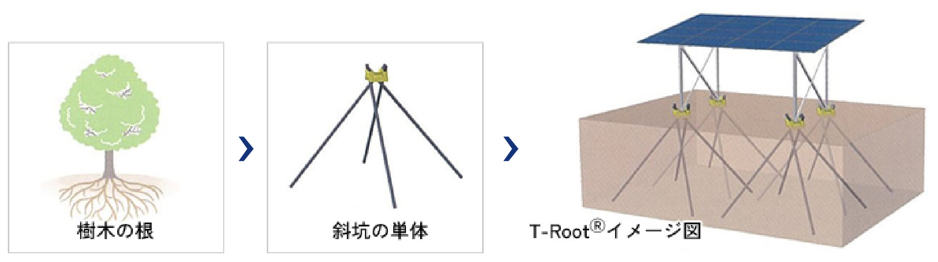 樹木の根 斜坑の単体 T-Rootイメージ図